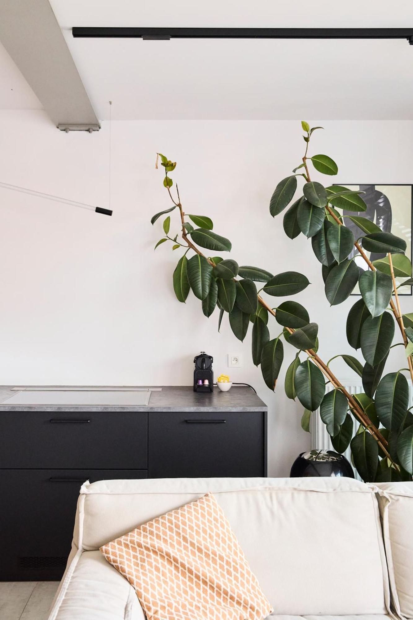 The Banker Antwerpen - Free Parking Apartment ภายนอก รูปภาพ